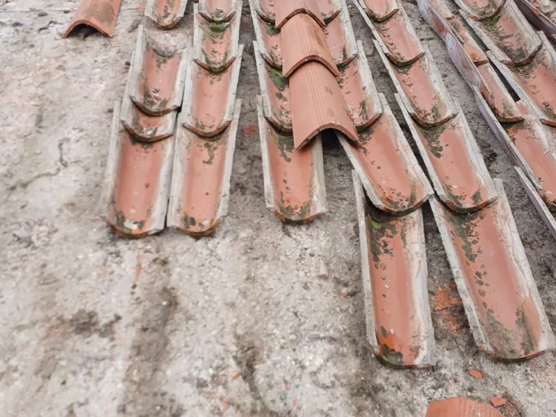 IMG-20241112-WA0171 copia