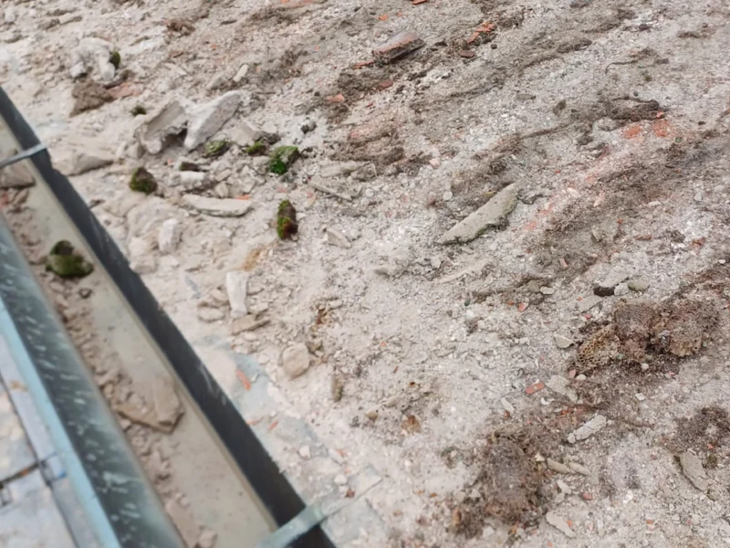 IMG-20241112-WA0172 copia