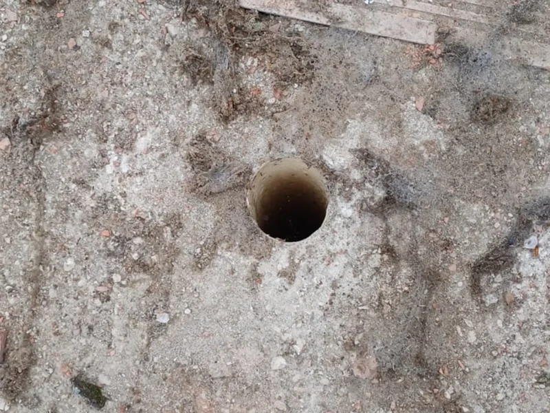 IMG-20241112-WA0175 copia