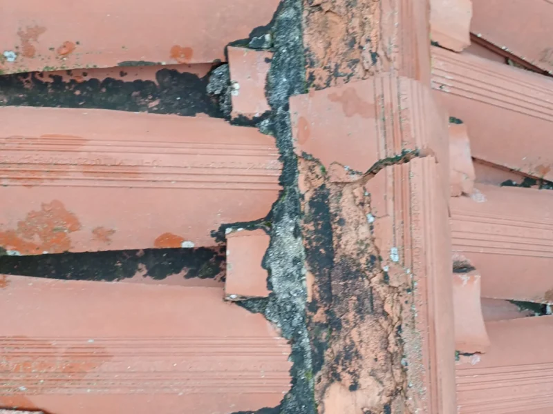 IMG-20241112-WA0176 copia