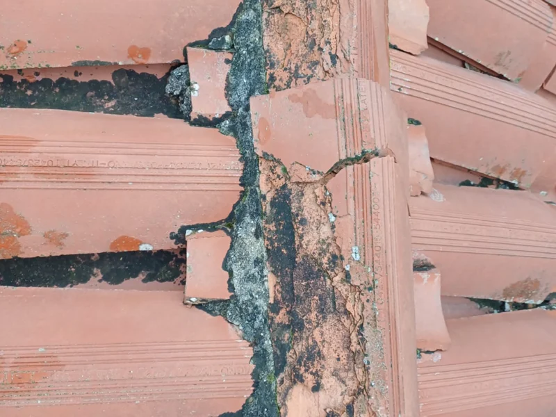 IMG-20241112-WA0177 copia