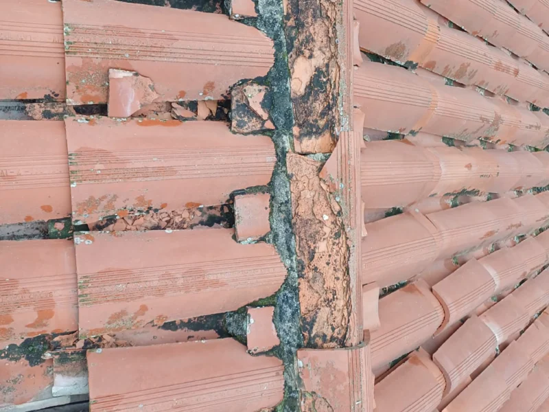 IMG-20241112-WA0178 copia