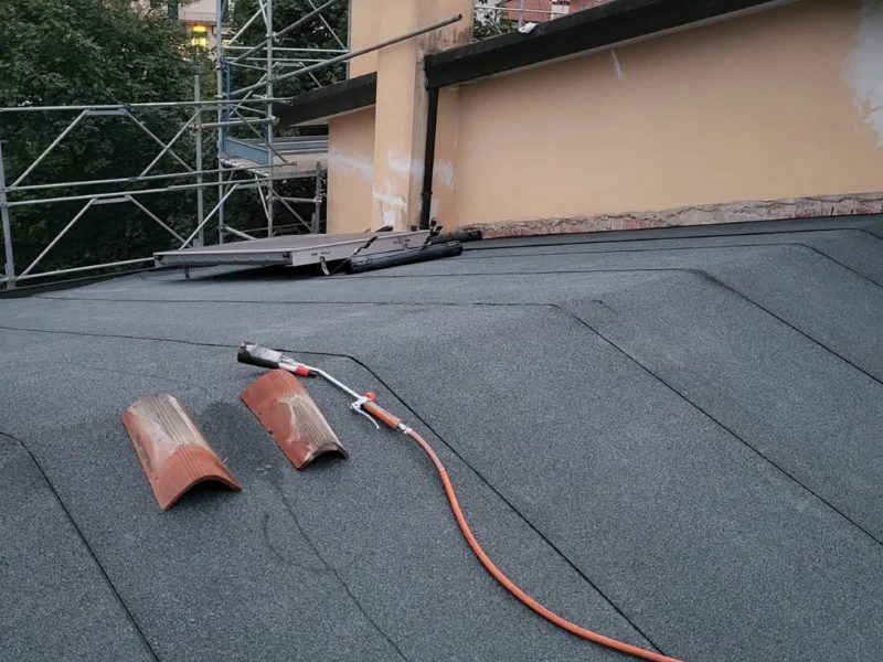 IMG-20241112-WA0180 copia