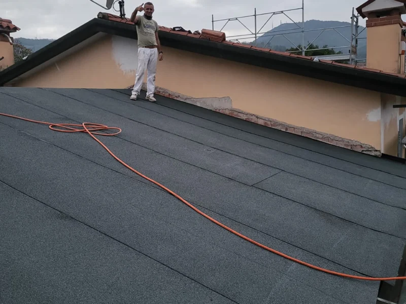 IMG-20241112-WA0181 copia