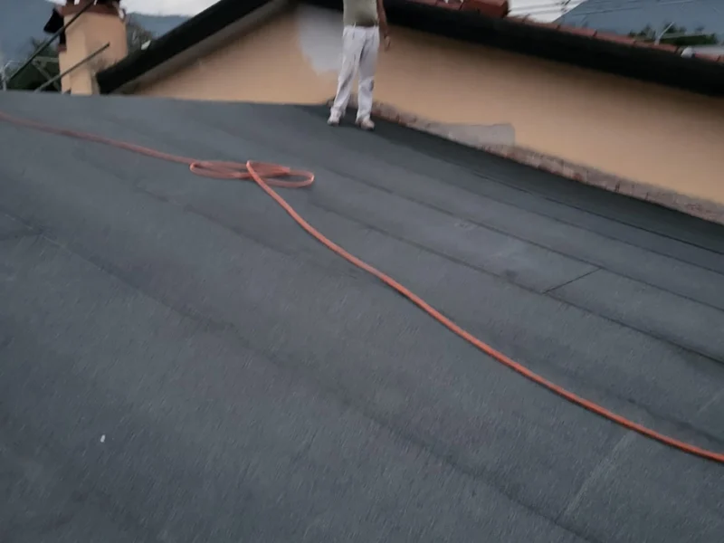 IMG-20241112-WA0183 copia