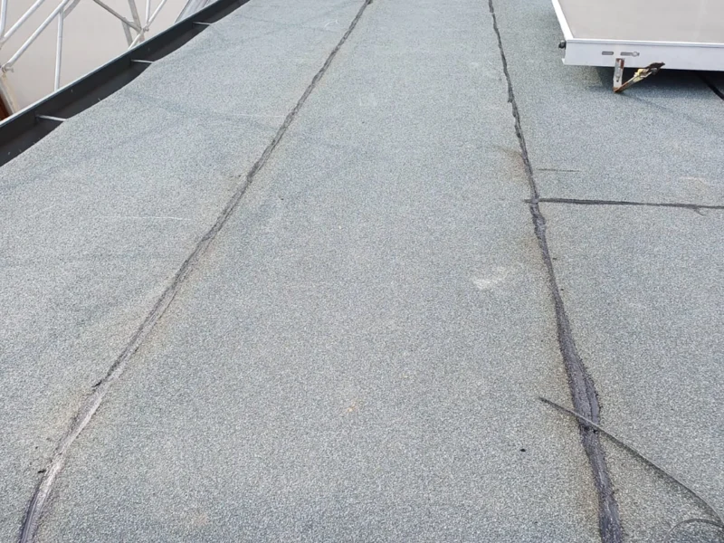 IMG-20241112-WA0187 copia