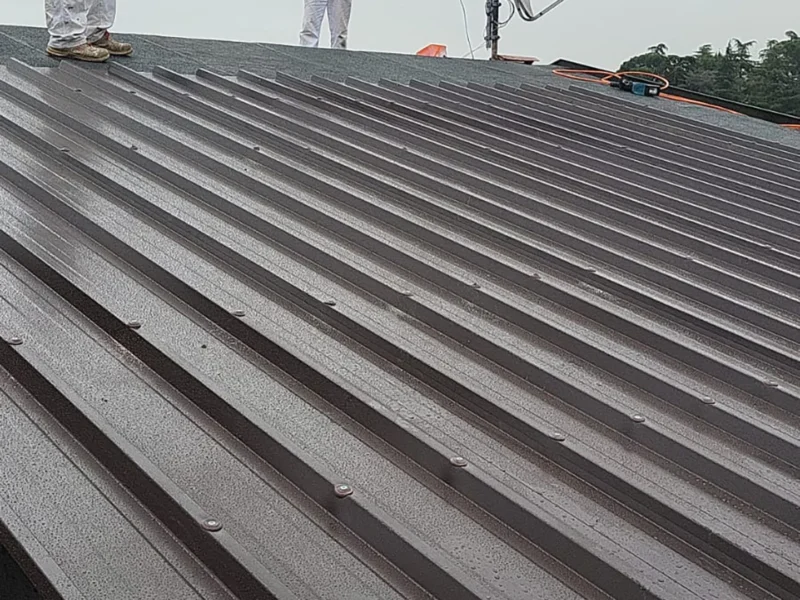 IMG-20241112-WA0192 copia