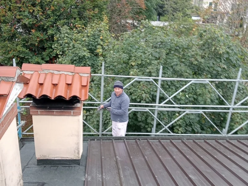 IMG-20241112-WA0195 copia