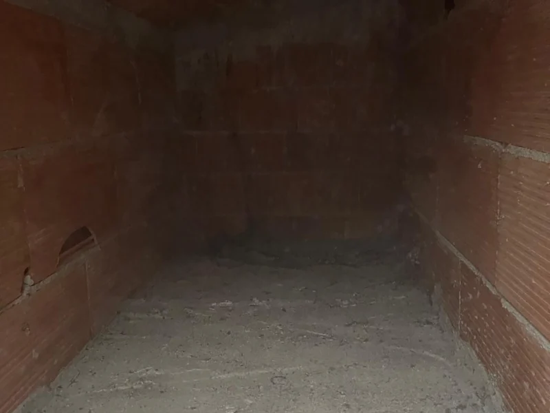 IMG-20241112-WA0198 copia