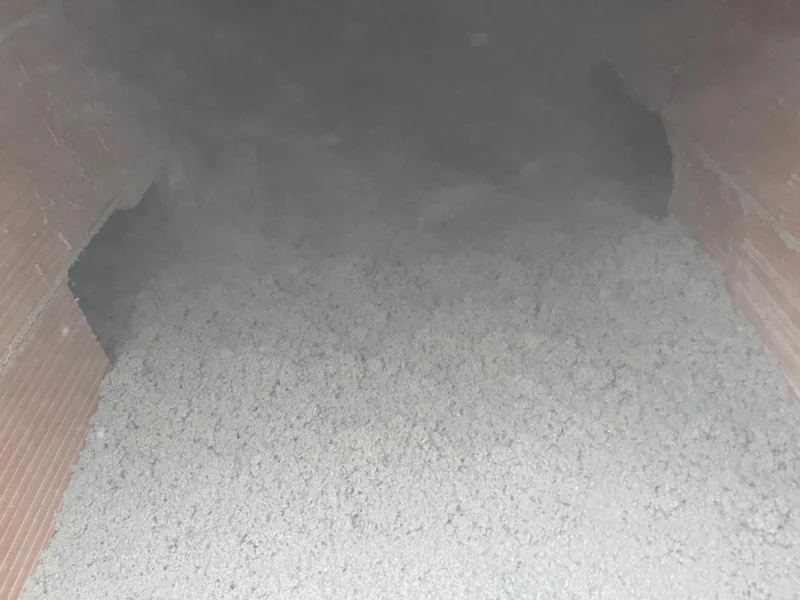 IMG-20241112-WA0201 copia