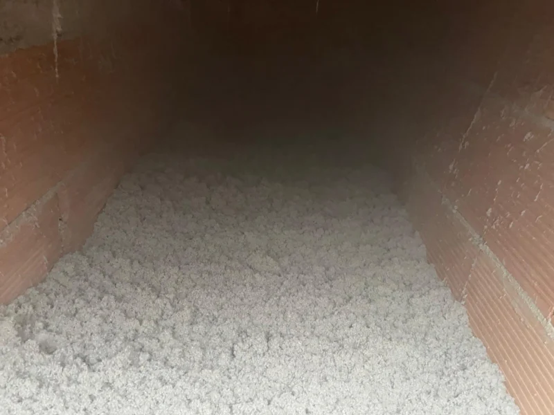 IMG-20241112-WA0202 copia