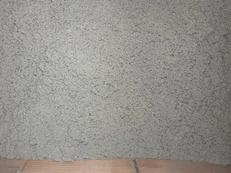 IMG-20241112-WA0203 copia