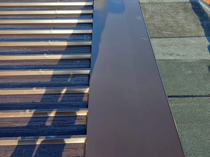 IMG-20241112-WA0206 copia