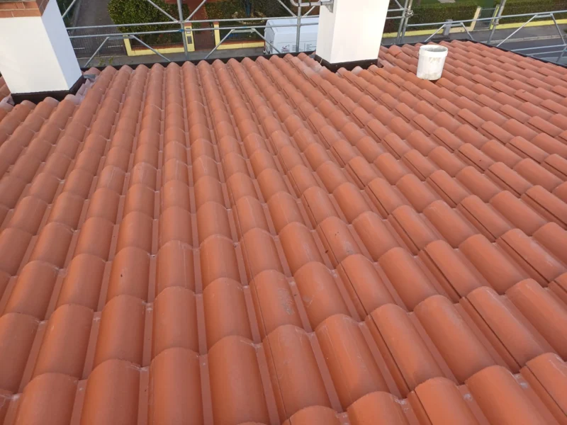 IMG-20241112-WA0209 copia