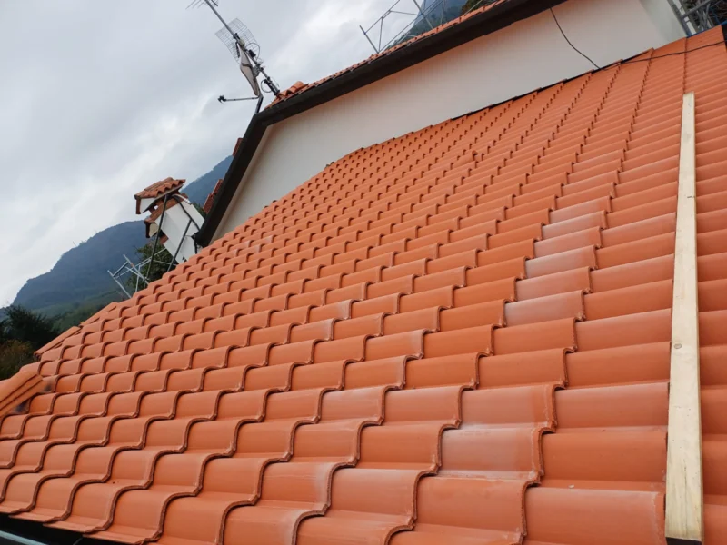 IMG-20241112-WA0213 copia