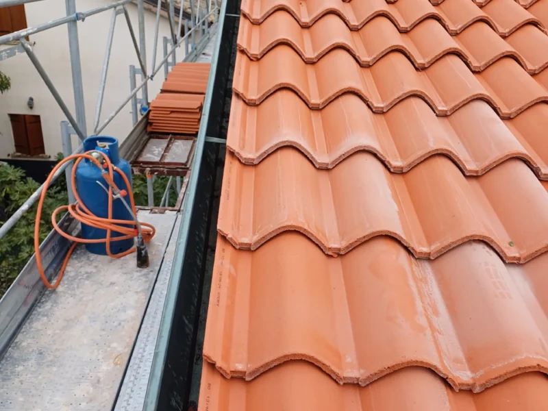 IMG-20241112-WA0214 copia