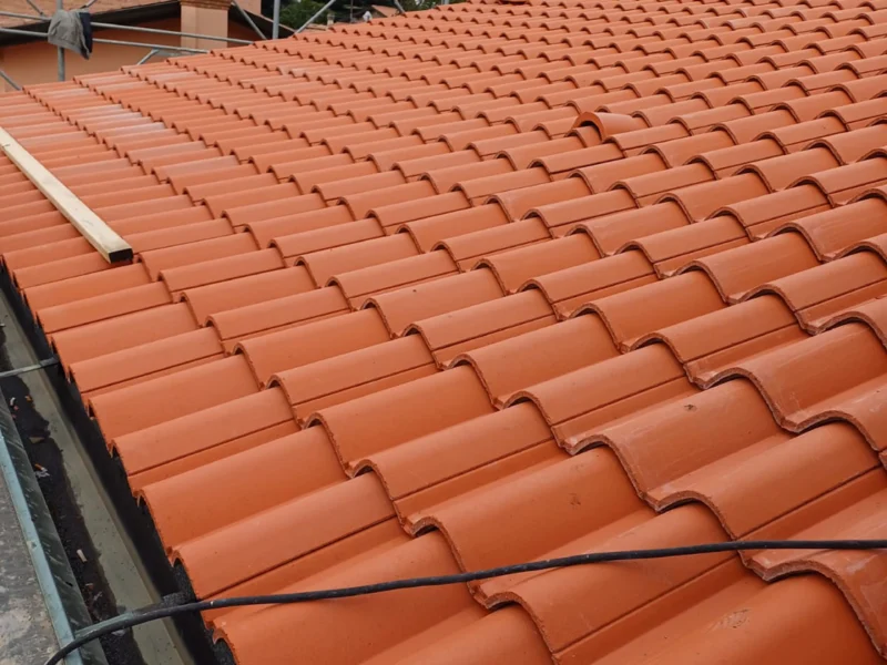 IMG-20241112-WA0217 copia