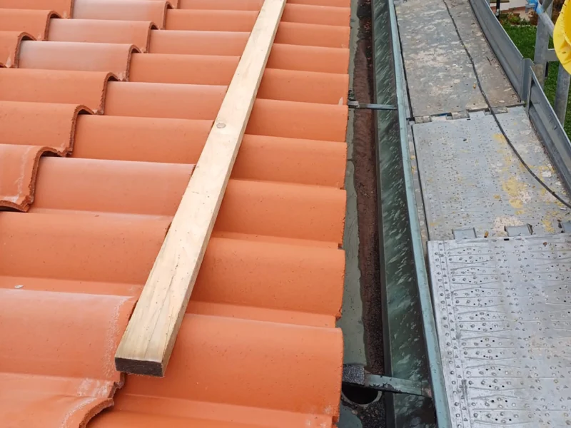 IMG-20241112-WA0218 copia